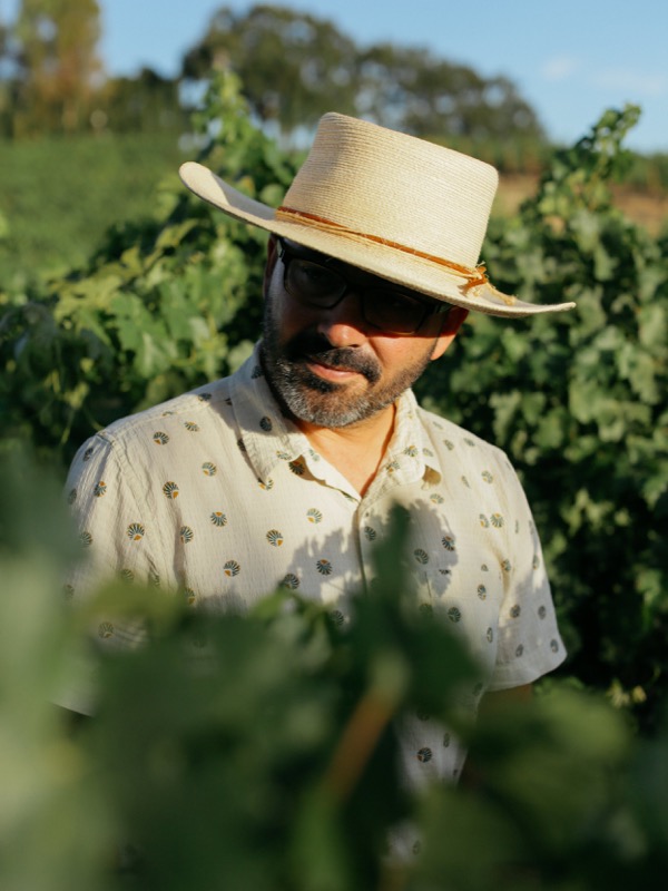 A man wearing a straw hat, sunglasses, and a light-colored shirt with a floral pattern is standing in a vineyard during daytime, surrounded by green grapevines.