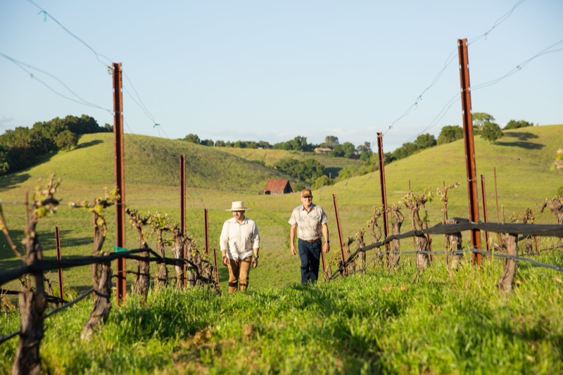 Two men walking through a vineyard with lush green rolling hills and a blue sky in the background.